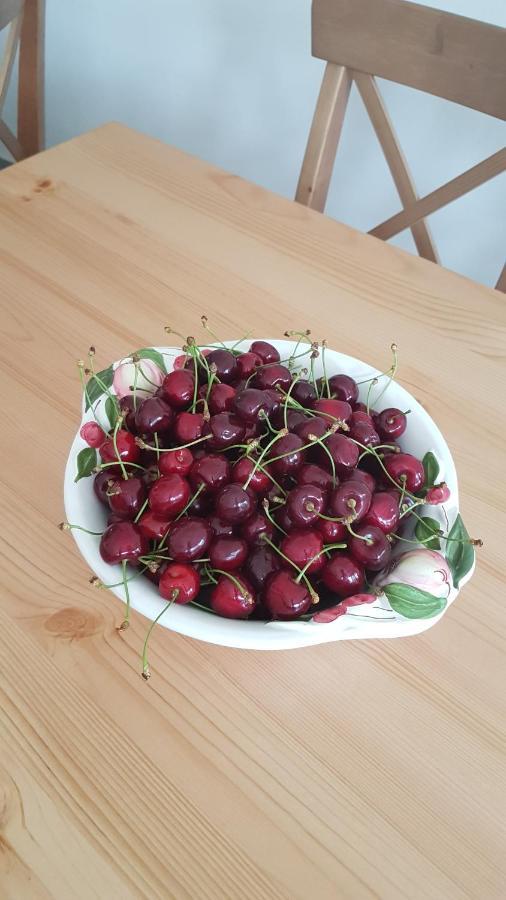Elo Tisza Vendeghaz 호텔 Nagykoru 외부 사진