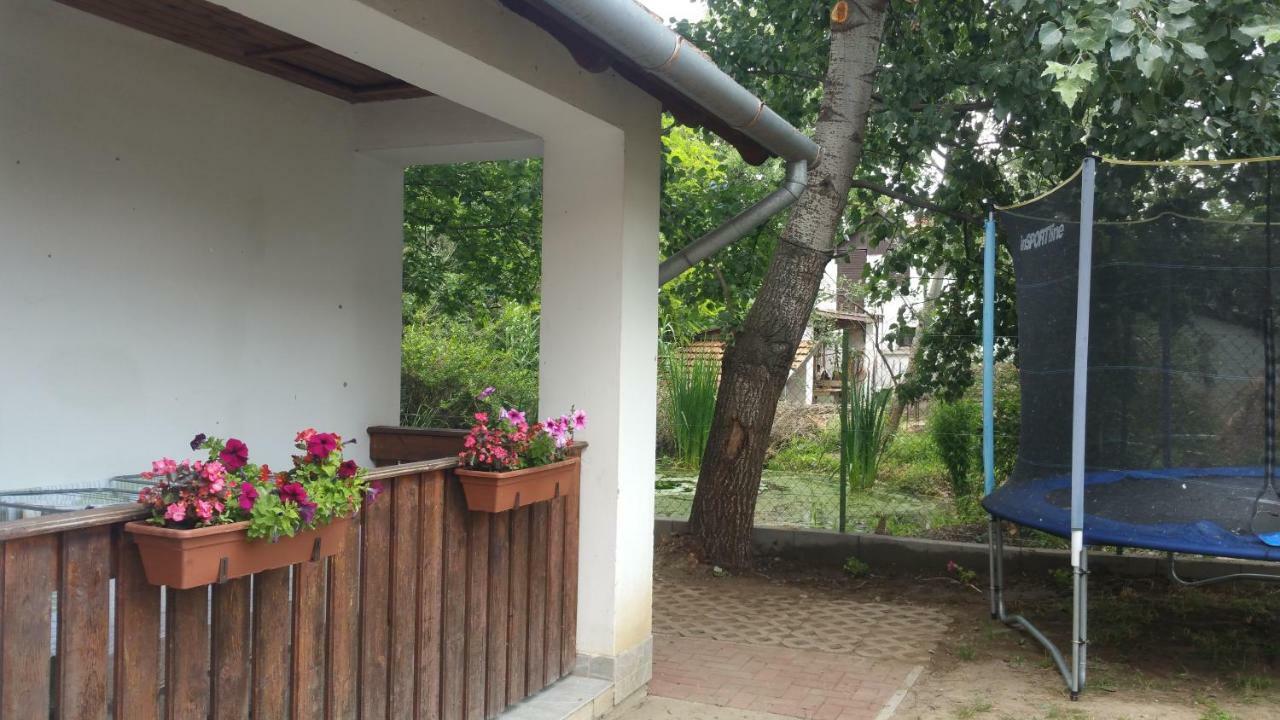 Elo Tisza Vendeghaz 호텔 Nagykoru 외부 사진