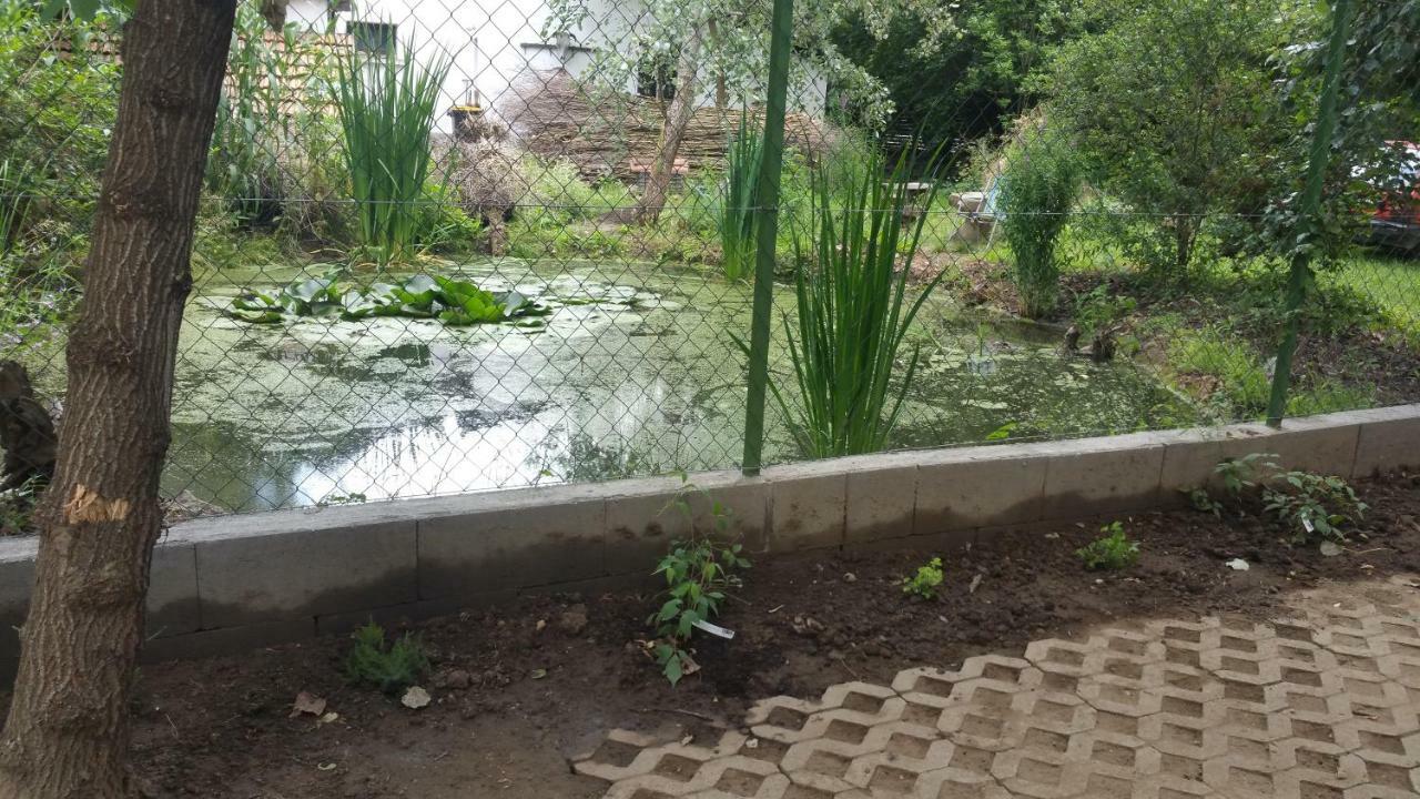 Elo Tisza Vendeghaz 호텔 Nagykoru 외부 사진