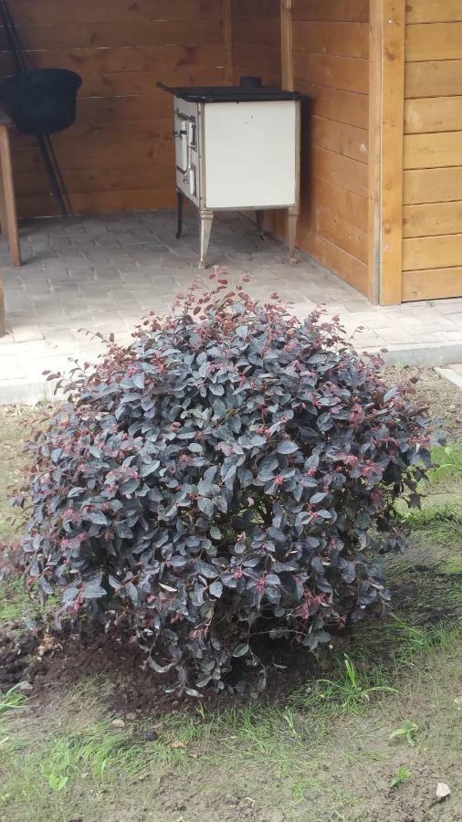 Elo Tisza Vendeghaz 호텔 Nagykoru 외부 사진